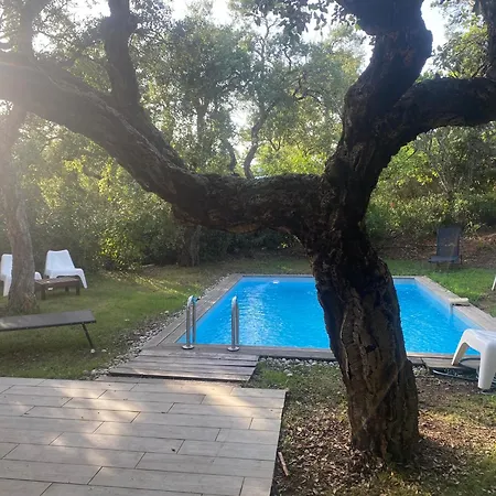 Villa Les Lecci E Mare