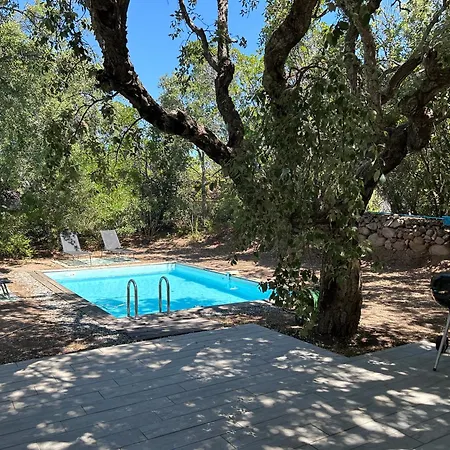 Les Lecci E Mare Villa *