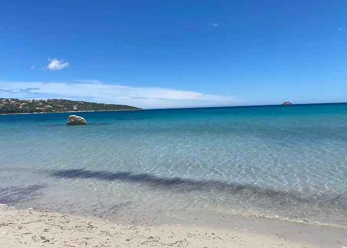 Les Lecci E Mare Villa *